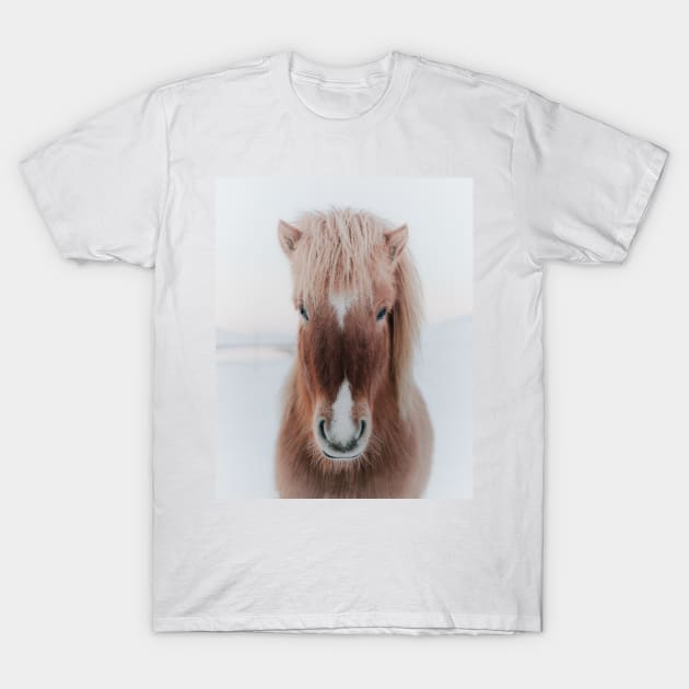 Icelandic Horse T-Shirt by AmyBrinkman
